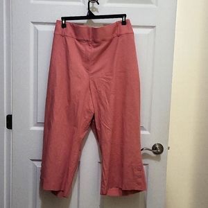 Lane Bryant, 28, pink